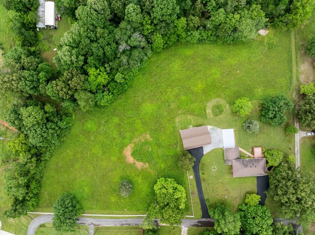 915 Taylor Cir, Burns, TN 37029 - drone / aerial view