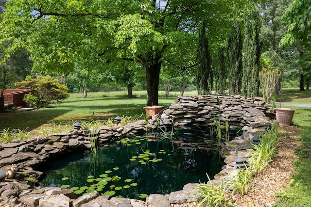 915 Taylor Cir, Burns, TN 37029 - view of grassy yard with a garden pond