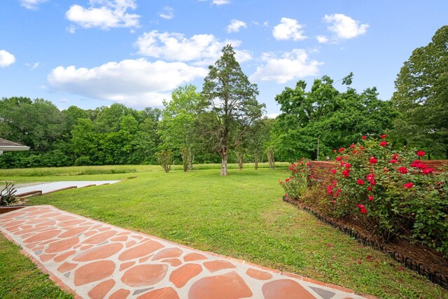 915 Taylor Cir, Burns, TN 37029 - view of green lawn