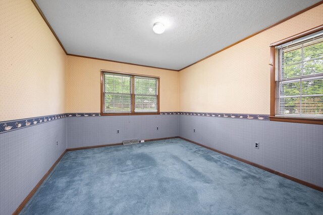 915 Taylor Cir, Burns, TN 37029 - spare room featuring ornamental molding, carpet floors, wainscoting, a textured ceiling, and baseboards