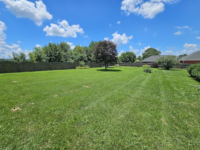 137 Favre Cir, Winchester, TN 37398 - photo 32