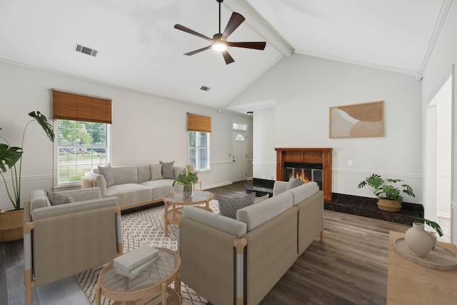 living room featuring wood finished floors, plenty of natural light, ceiling fan, beamed ceiling, and a premium fireplace