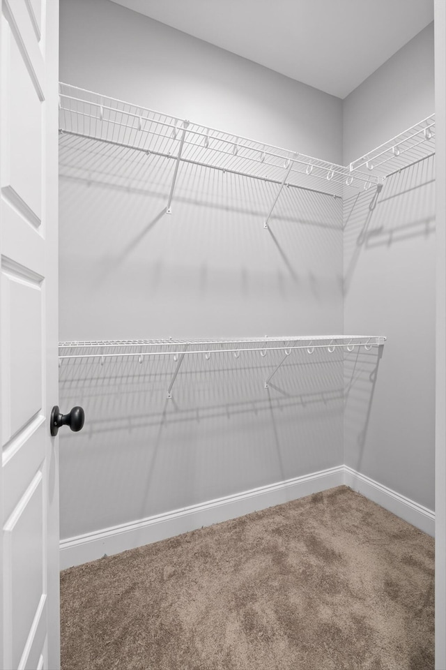1860 Oakvale Dr, Chattanooga, TN 37421 - walk in closet with carpet floors