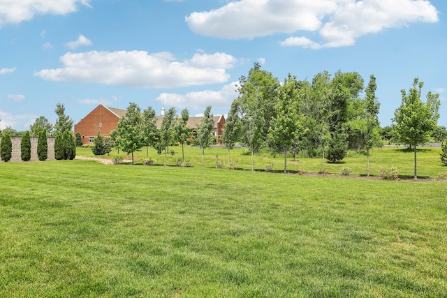 2434 Salem Creek Ct, Murfreesboro, TN 37128 - photo 39