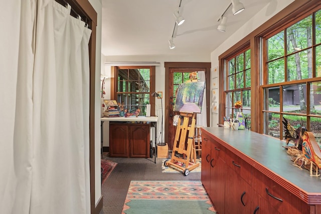 7261 Kingston Rd, Fairview, TN 37062 - interior space with track lighting and dark carpet
