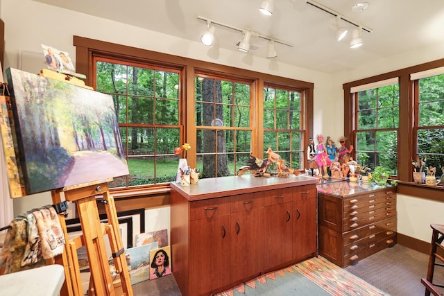 7261 Kingston Rd, Fairview, TN 37062 - kitchen featuring healthy amount of natural light, rail lighting, and light countertops