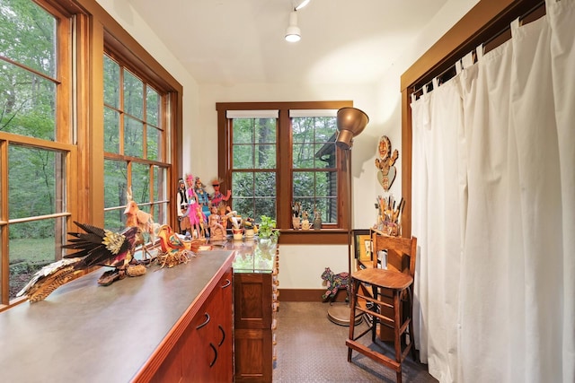 7261 Kingston Rd, Fairview, TN 37062 - interior space
