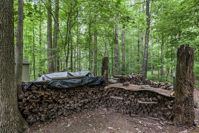 7261 Kingston Rd, Fairview, TN 37062 - view of yard featuring a wooded view