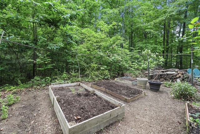 7261 Kingston Rd, Fairview, TN 37062 - view of yard featuring a garden and a forest view