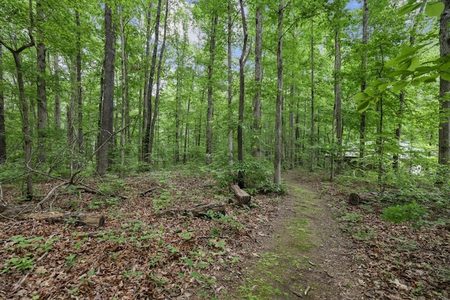 7261 Kingston Rd, Fairview, TN 37062 - view of woods