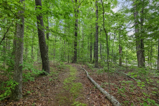 7261 Kingston Rd, Fairview, TN 37062 - view of tree filled area