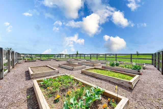view of yard with fence and a vegetable garden