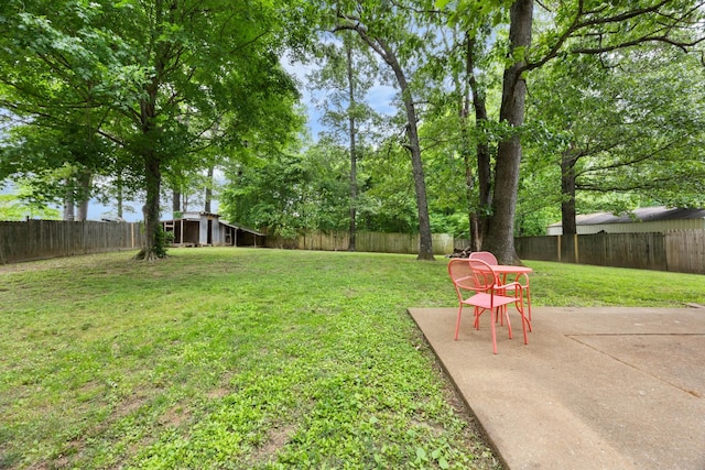 view of yard with a patio area