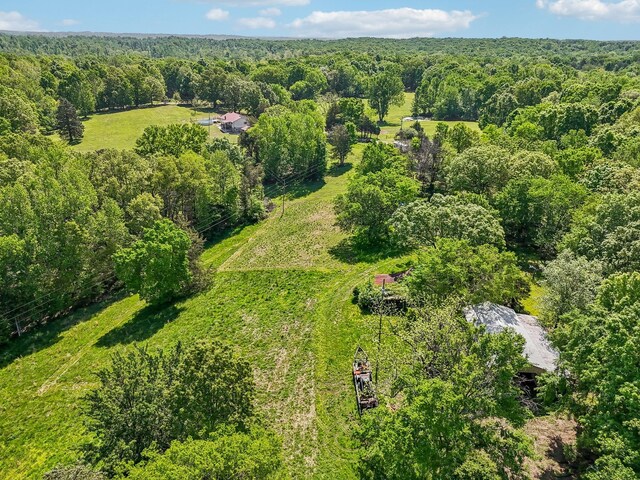 46 Seay Ln, Erin, TN 37061 - bird's eye view of a forest