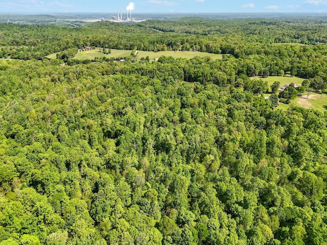 46 Seay Ln, Erin, TN 37061 - aerial overview of property's location featuring a forest