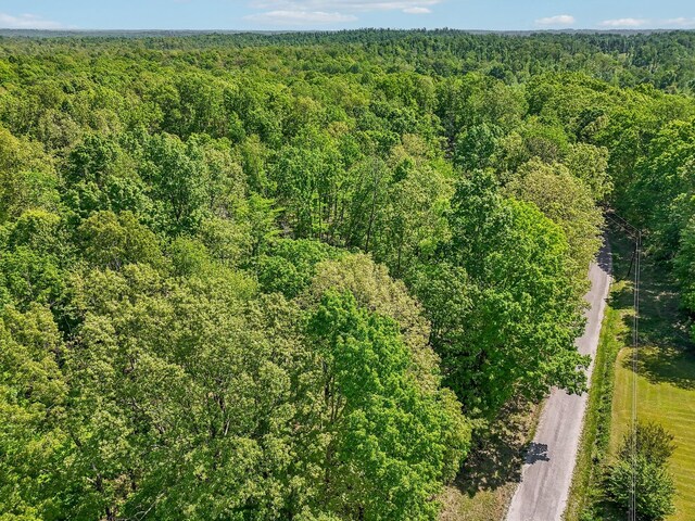 46 Seay Ln, Erin, TN 37061 - aerial view of property's location with a forest