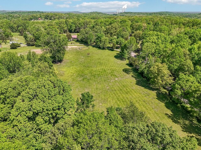 46 Seay Ln, Erin, TN 37061 - view of property location featuring a forest