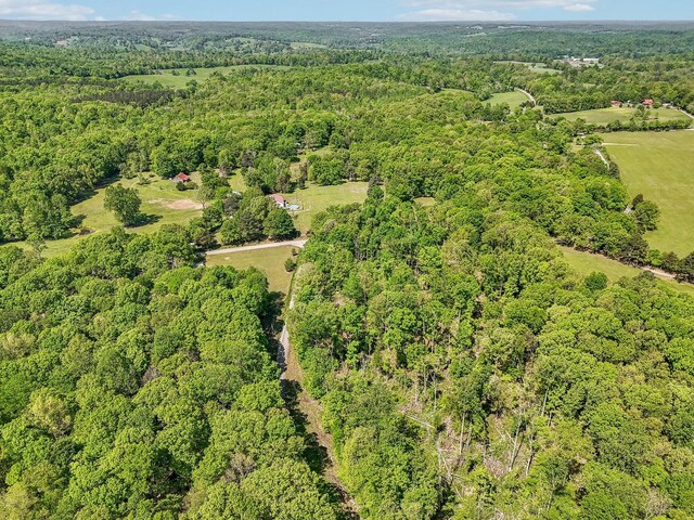 46 Seay Ln, Erin, TN 37061 - aerial view of property's location with a forest