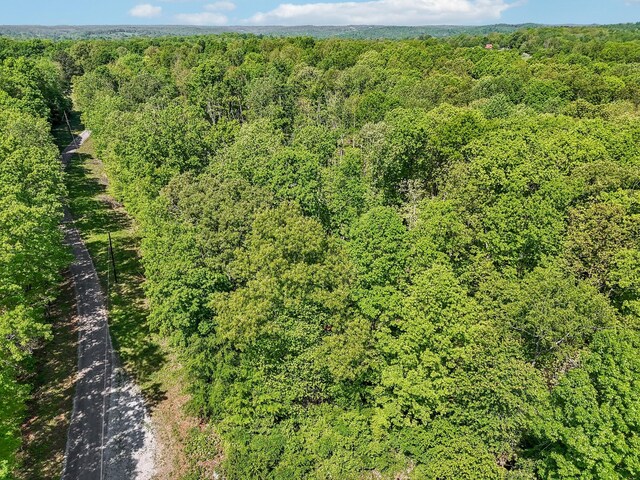 46 Seay Ln, Erin, TN 37061 - aerial view of a forest