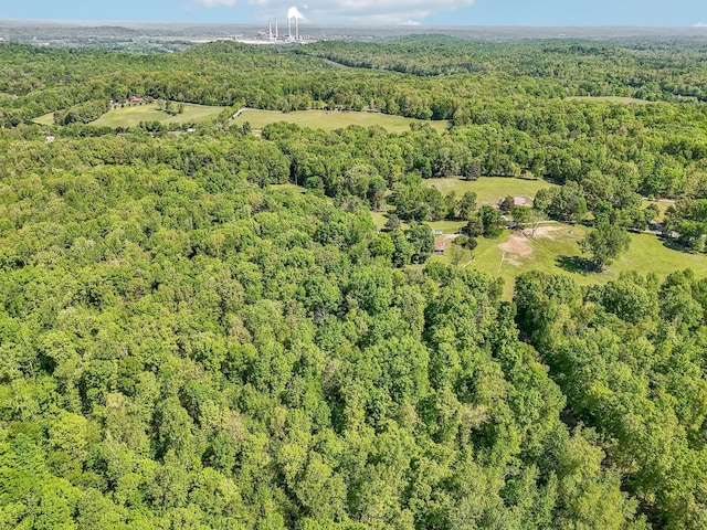 46 Seay Ln, Erin, TN 37061 - aerial overview of property's location featuring a forest