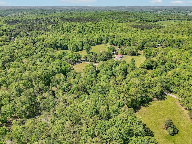 46 Seay Ln, Erin, TN 37061 - aerial view of property's location with a heavily wooded area
