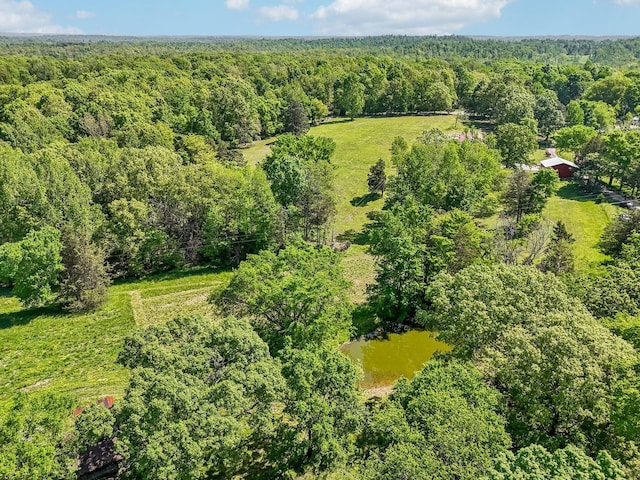 46 Seay Ln, Erin, TN 37061 - aerial view of a forest