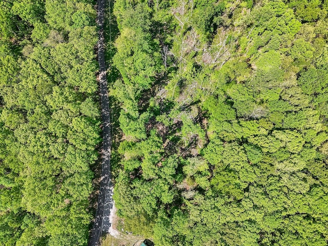 46 Seay Ln, Erin, TN 37061 - aerial view