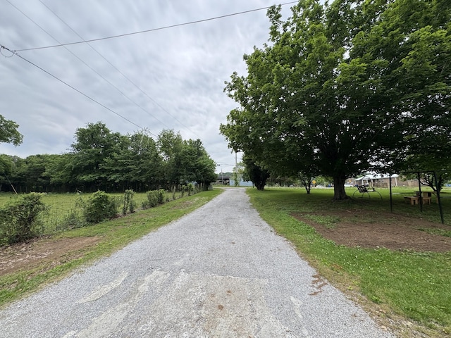 1196 1st Ave, Mount Pleasant, TN 38474 - photo 4