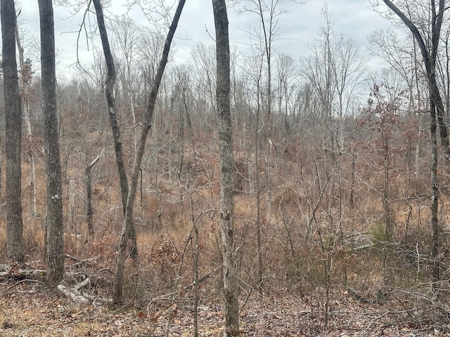 0 Glendale Rd, Adamsville, TN 38310