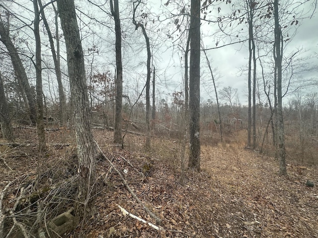 0 Glendale Rd, Adamsville, TN 38310