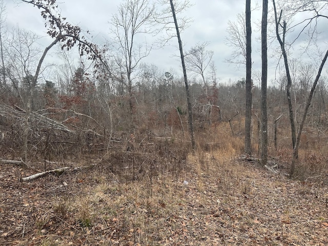 0 Glendale Rd, Adamsville, TN 38310
