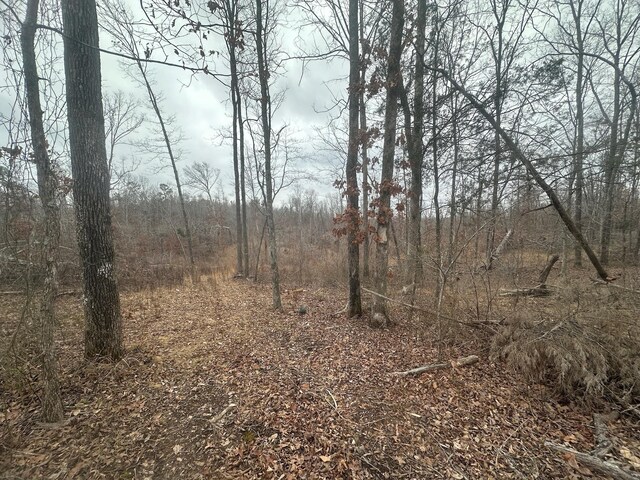 0 Glendale Rd, Adamsville, TN 38310