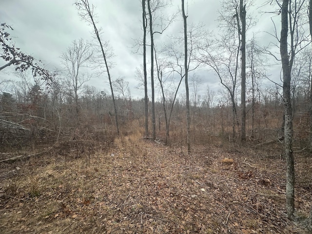 0 Glendale Rd, Adamsville, TN 38310