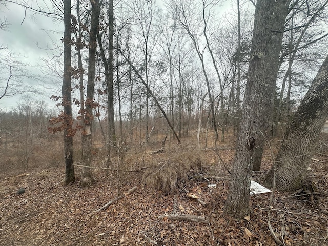 0 Glendale Rd, Adamsville, TN 38310