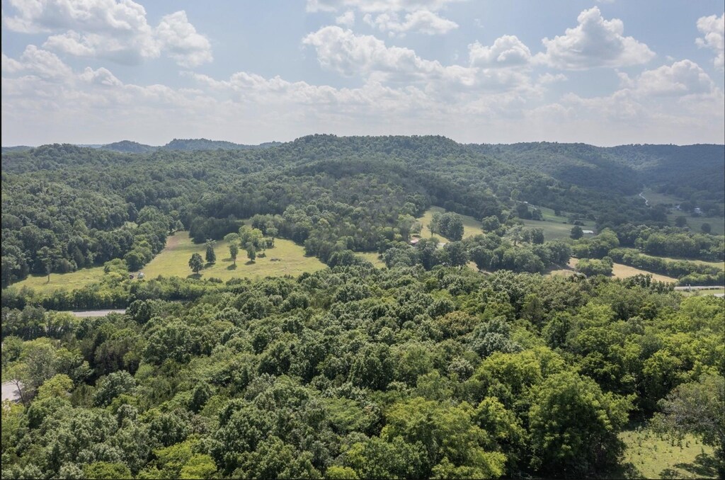 15807 Manchester Pike, Christiana, TN 37037 - photo 2