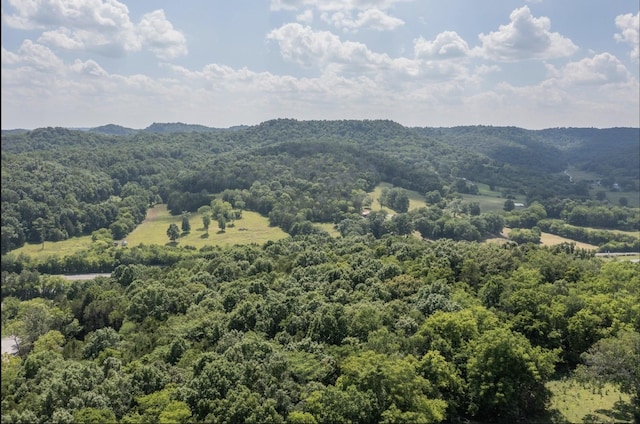 15807 Manchester Pike, Christiana, TN 37037 - photo 2
