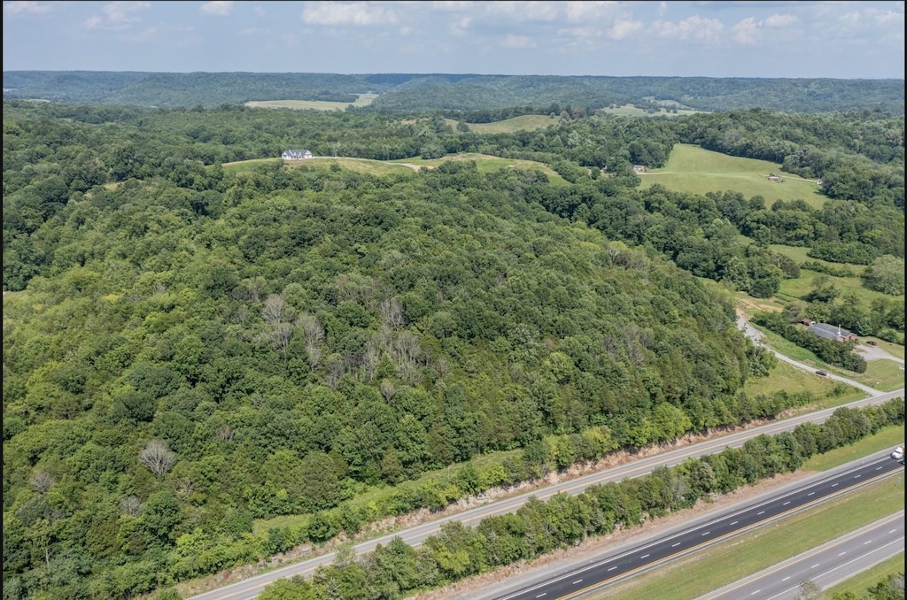 15807 Manchester Pike, Christiana, TN 37037 - photo 1