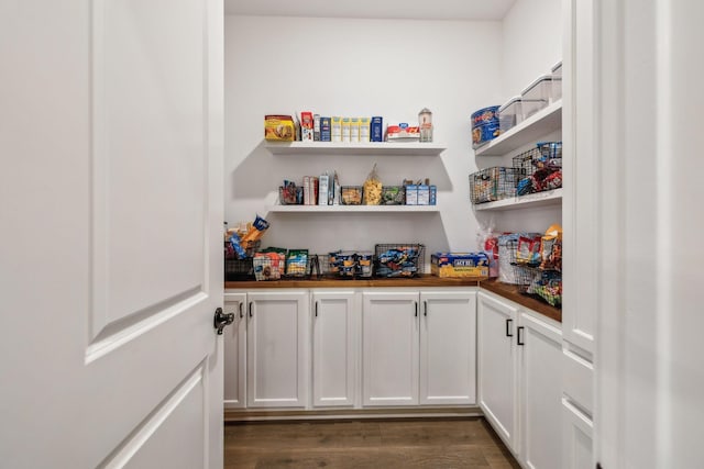 9015 Grayson Cir, Mount Juliet, TN 37122 - view of pantry