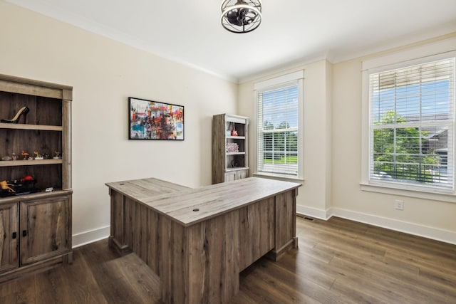 9015 Grayson Cir, Mount Juliet, TN 37122 - office with baseboards, plenty of natural light, dark wood-type flooring, and crown molding