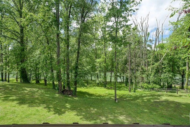 490 Luckey Ln, Sparta, TN 38583 - view of yard