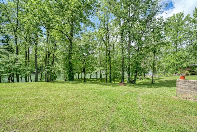 490 Luckey Ln, Sparta, TN 38583 - view of grassy yard