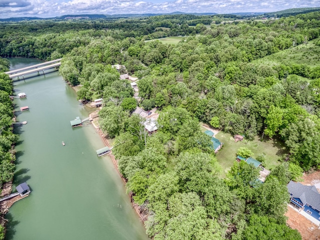 490 Luckey Ln, Sparta, TN 38583 - bird's eye view of a forest and a large body of water