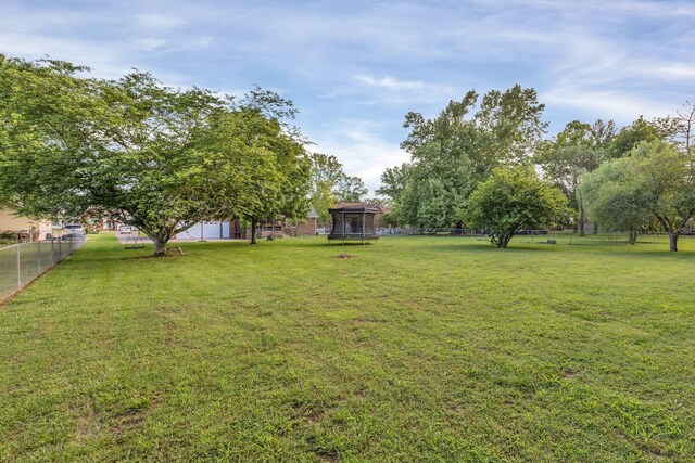 1186 Peebles Dr, Smyrna, TN 37167 - view of yard with a trampoline