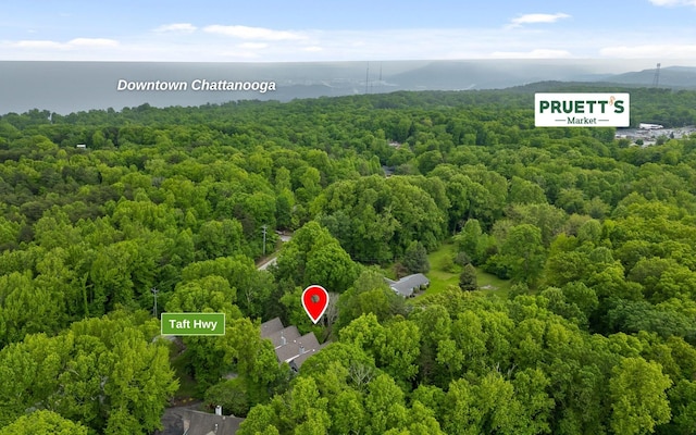 drone / aerial view of a heavily wooded area