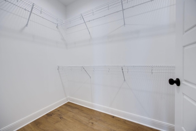2060 Rylee Way Unit 54, Greenbrier, TN 37073 - walk in closet with wood finished floors