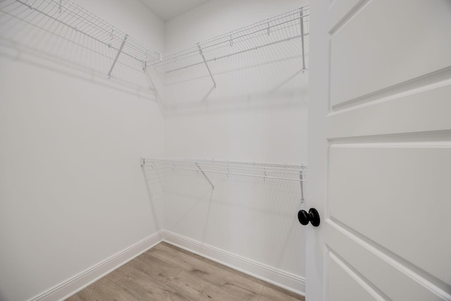 2050 Rylee Way, Greenbrier, TN 37073 - walk in closet featuring light wood finished floors