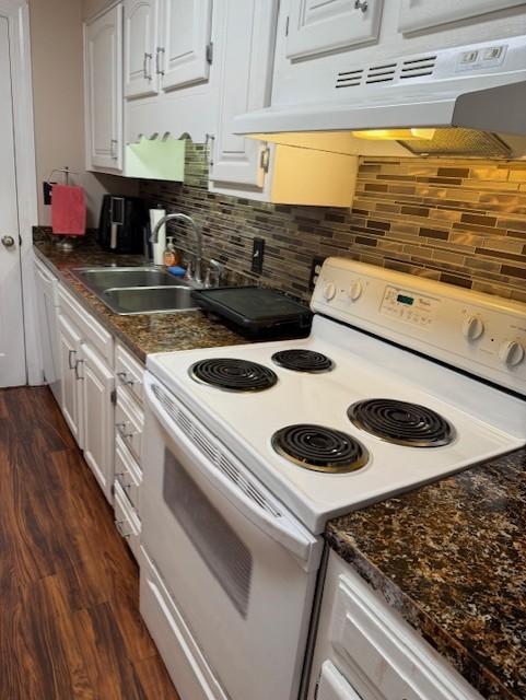 1280 Middle Tennessee Blvd Unit A8, Murfreesboro, TN 37130 - kitchen with white electric range, under cabinet range hood, a sink, dark wood-style flooring, and dark countertops