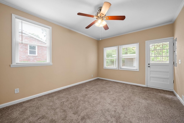 128 Delaware Dr, Clarksville, TN 37042 - photo 22