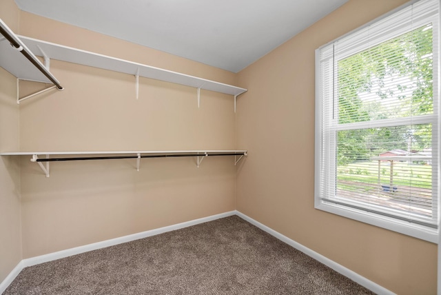 128 Delaware Dr, Clarksville, TN 37042 - photo 13