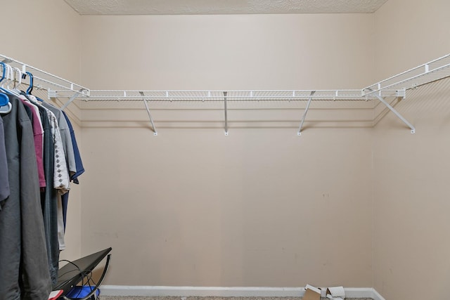 2405 Cason Ln, Lewisburg, TN 37091 - view of walk in closet